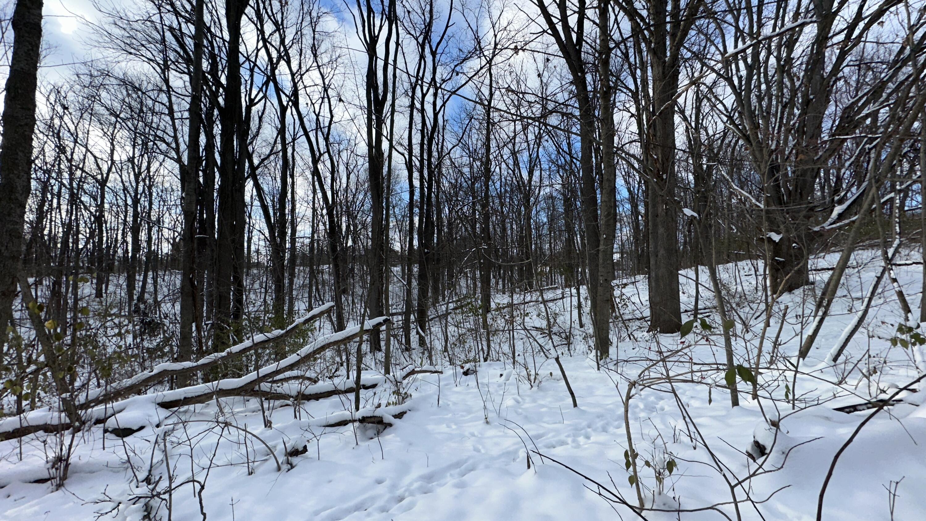 2770 South Wagner Road Ann Arbor, MI 48103 - Photo 98 of 103 IMG_2982