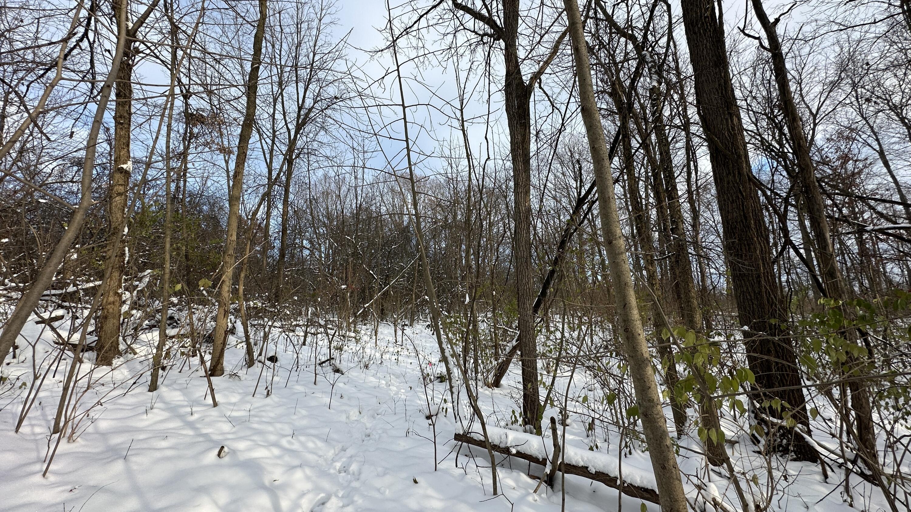 2770 South Wagner Road Ann Arbor, MI 48103 - Photo 99 of 103 IMG_2987