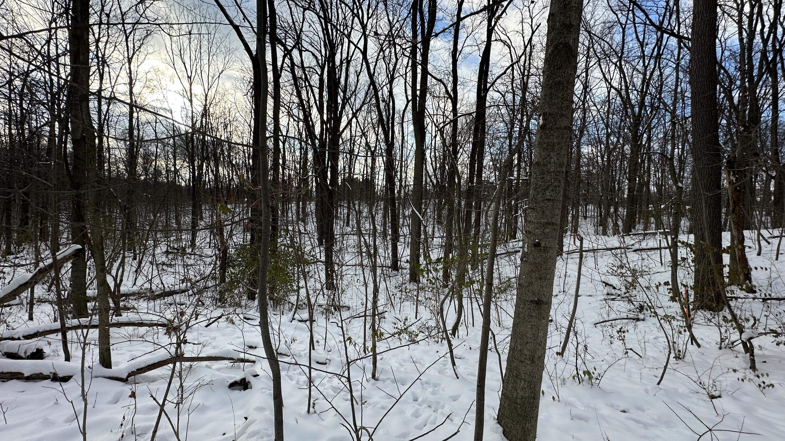 2770 South Wagner Road Ann Arbor, MI 48103 - Photo 100 of 103 IMG_2990