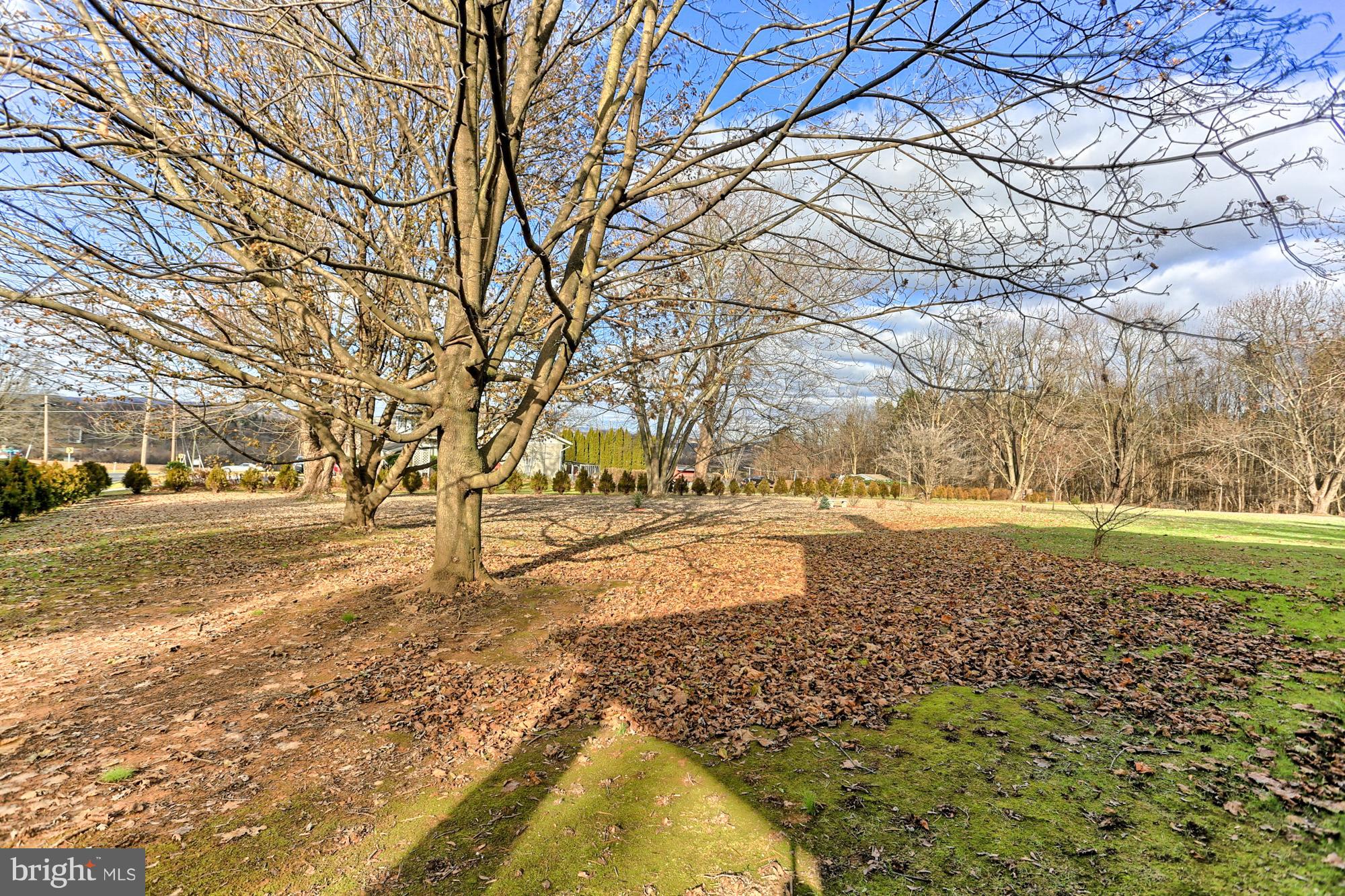 1503 Jefferson Road Spring Grove, PA 17362 - Photo 41 of 48