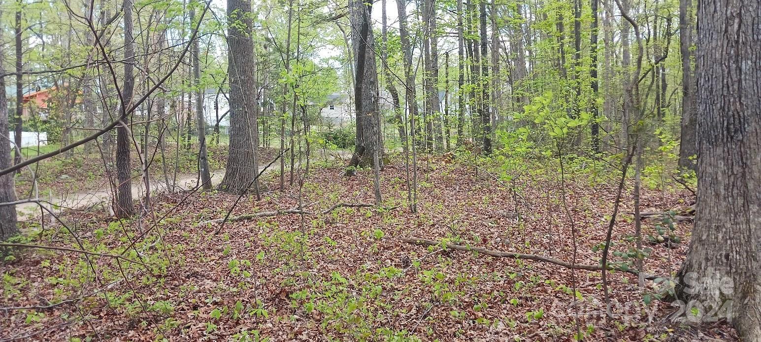 a view of trees and bushes