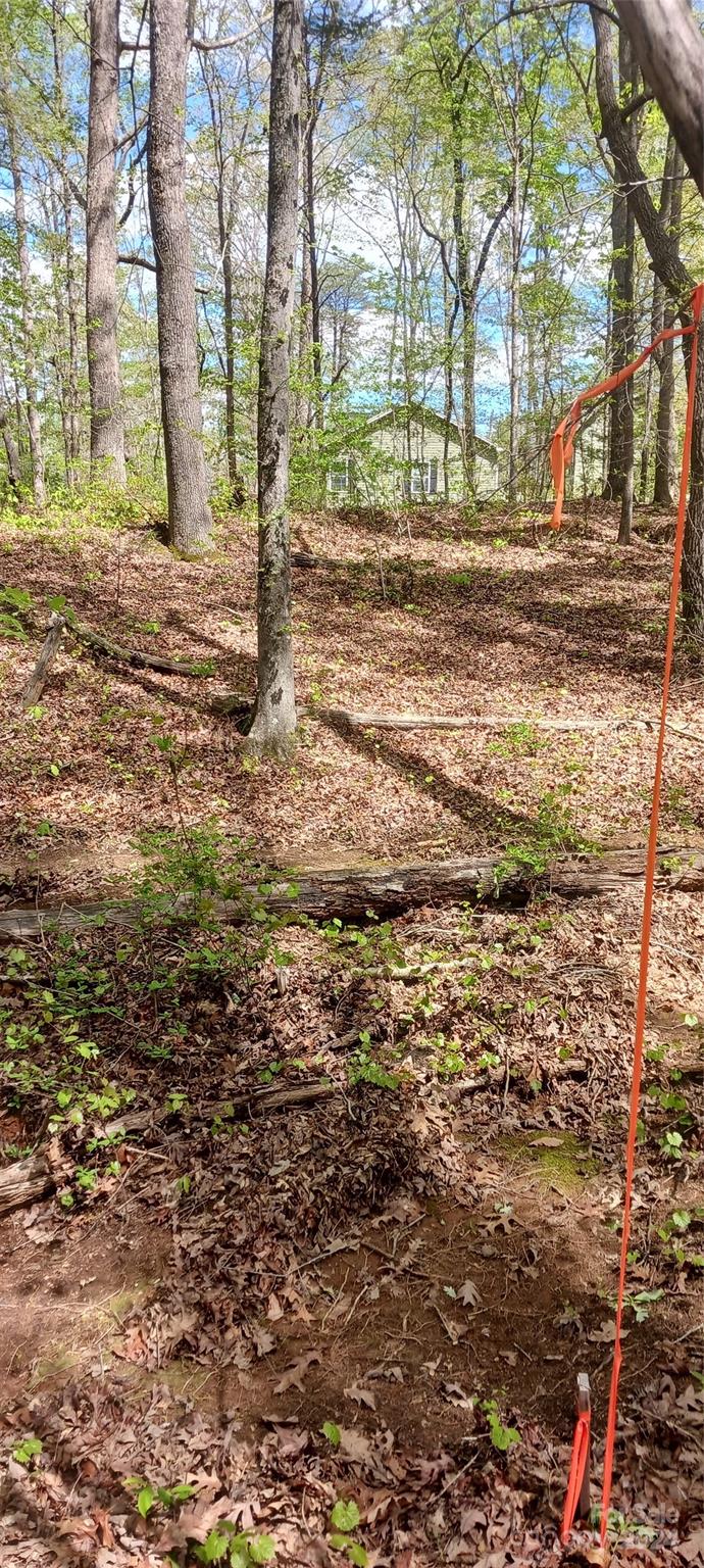 411 Shannon Loop Denver, NC 28037 - Photo 11 of 14