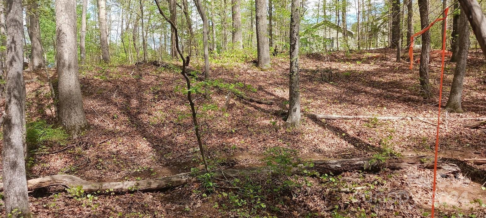 411 Shannon Loop Denver, NC 28037 - Photo 12 of 14 a view of a forest filled with trees