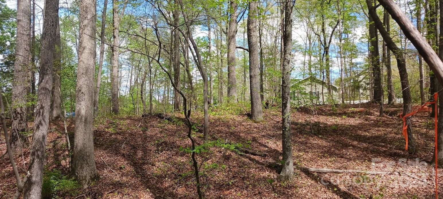 411 Shannon Loop Denver, NC 28037 - Photo 13 of 14 a view of outdoor space and green space