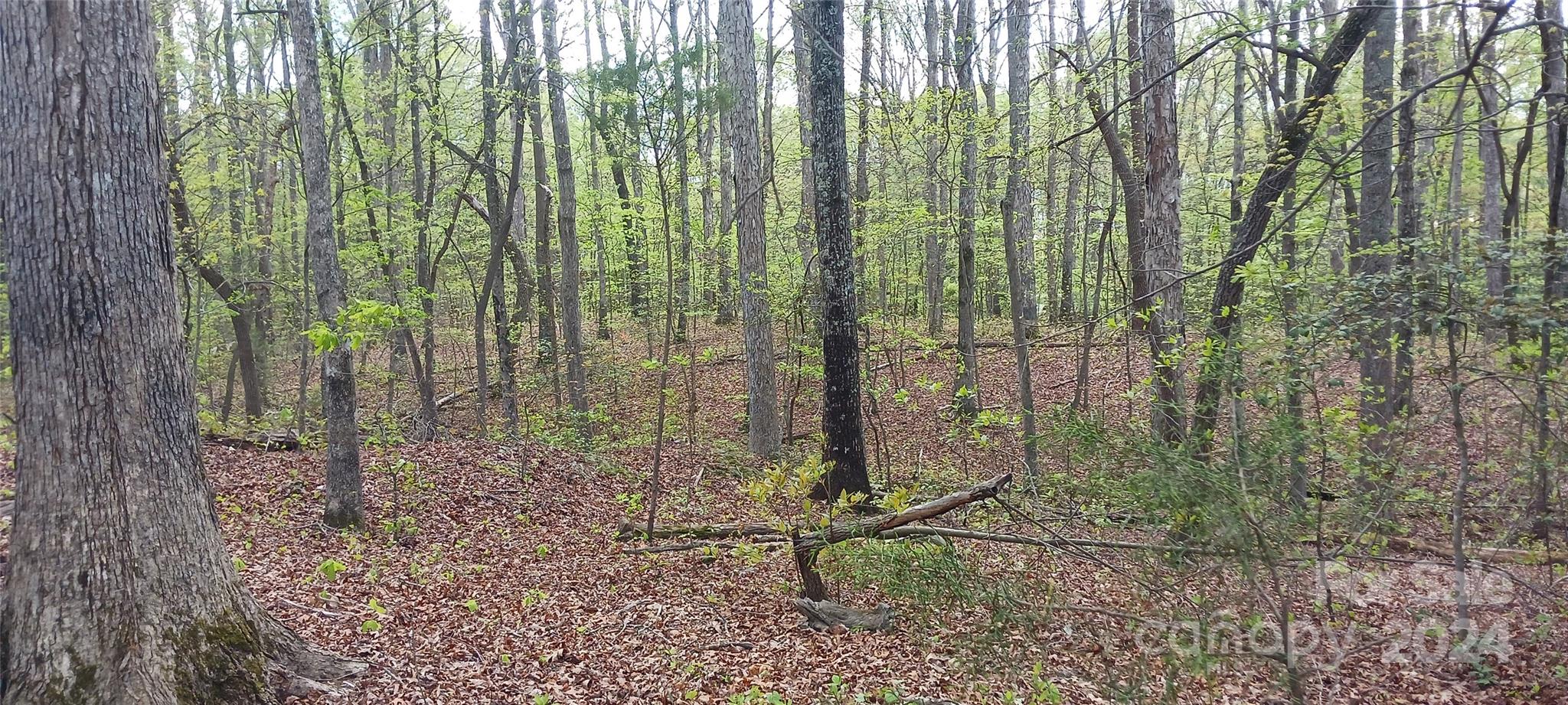 411 Shannon Loop Denver, NC 28037 - Photo 4 of 14