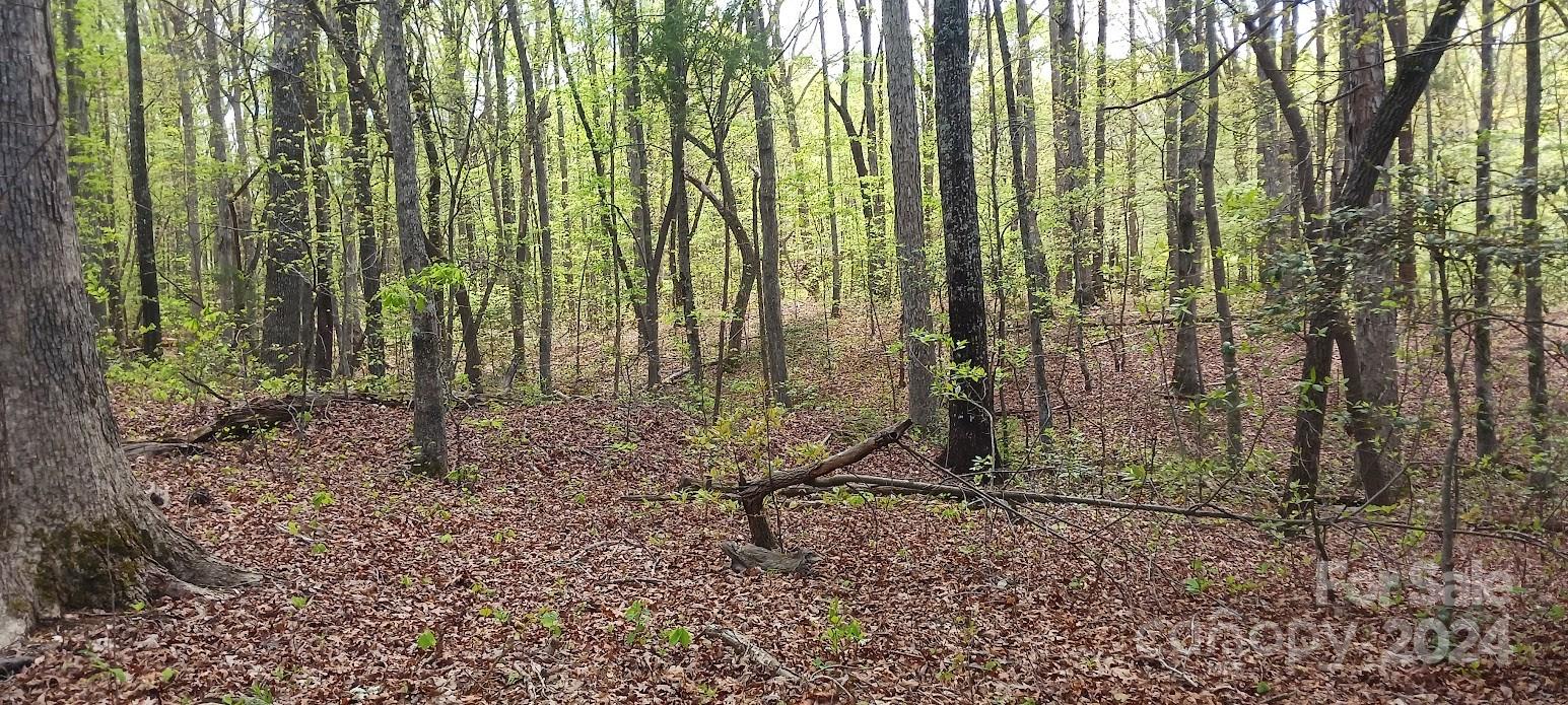 411 Shannon Loop Denver, NC 28037 - Photo 6 of 14 a view of a backyard