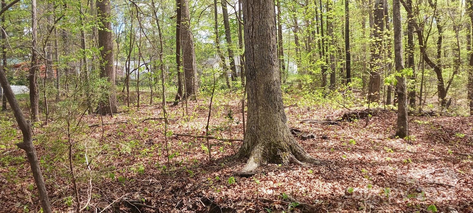 411 Shannon Loop Denver, NC 28037 - Photo 7 of 14 a view of forest