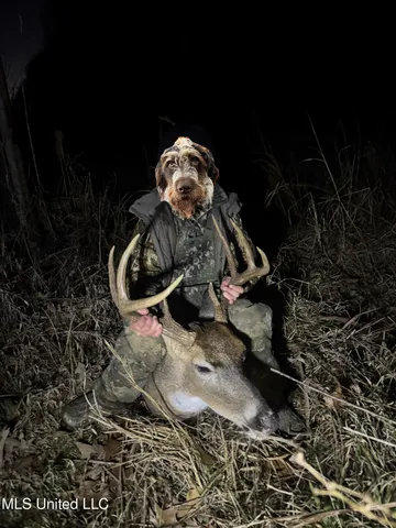 $349,900 | 2225 County Road, Kosciusko, MS 39090