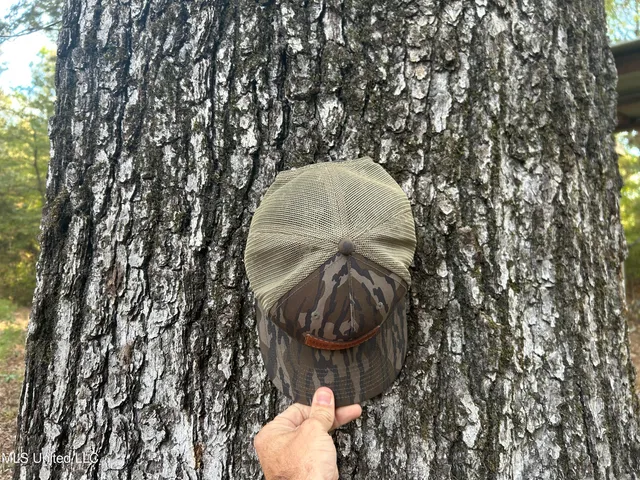 $349,900 | 2225 County Road, Kosciusko, MS 39090