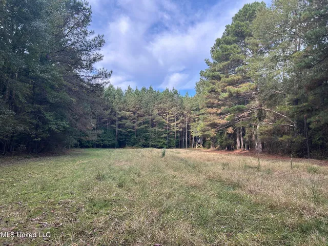 $349,900 | 2225 County Road, Kosciusko, MS 39090