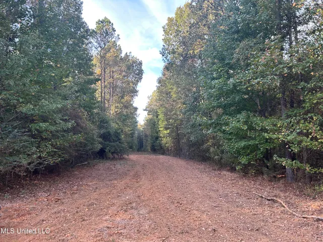 $349,900 | 2225 County Road, Kosciusko, MS 39090