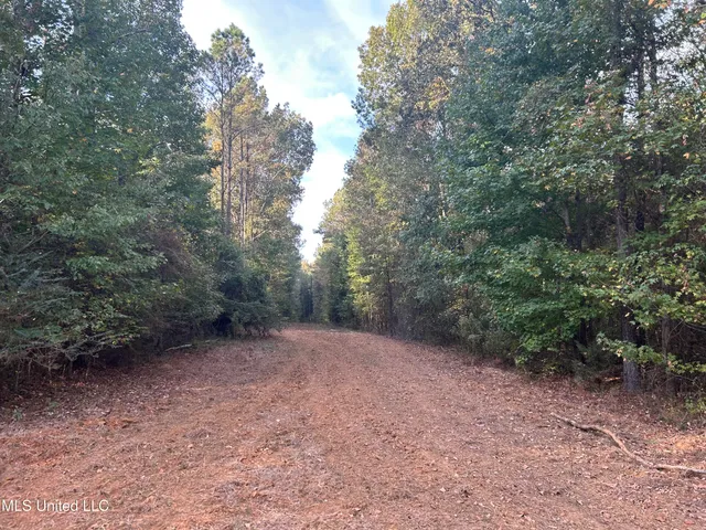$349,900 | 2225 County Road, Kosciusko, MS 39090