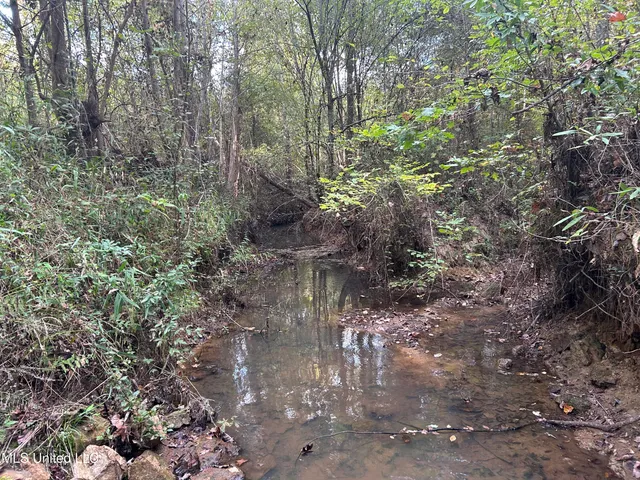 $349,900 | 2225 County Road, Kosciusko, MS 39090