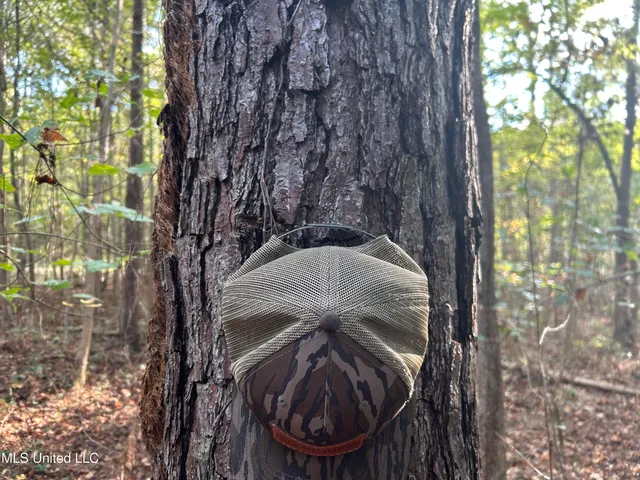 $349,900 | 2225 County Road, Kosciusko, MS 39090