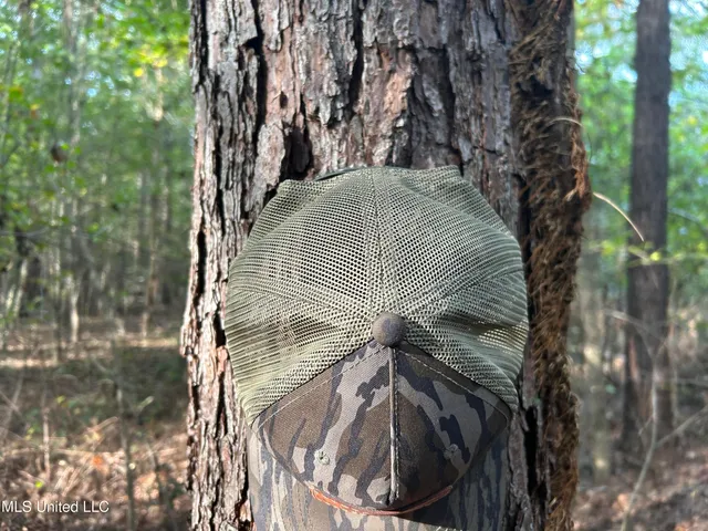 $349,900 | 2225 County Road, Kosciusko, MS 39090