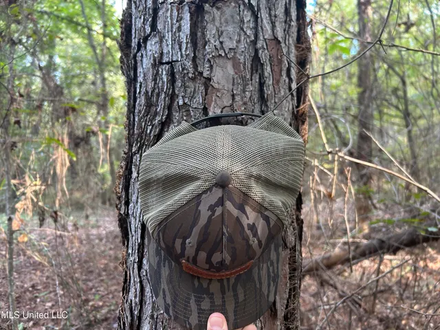 $349,900 | 2225 County Road, Kosciusko, MS 39090