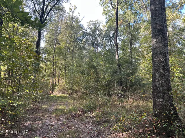 $349,900 | 2225 County Road, Kosciusko, MS 39090