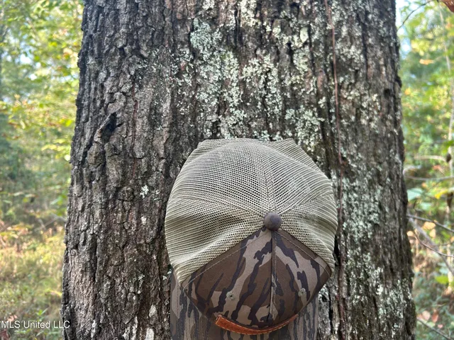 $349,900 | 2225 County Road, Kosciusko, MS 39090