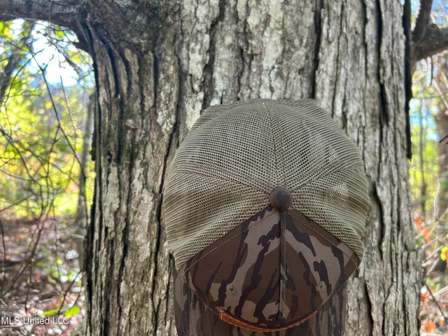 $349,900 | 2225 County Road, Kosciusko, MS 39090