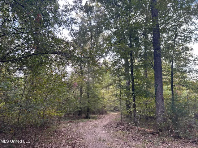 $349,900 | 2225 County Road, Kosciusko, MS 39090