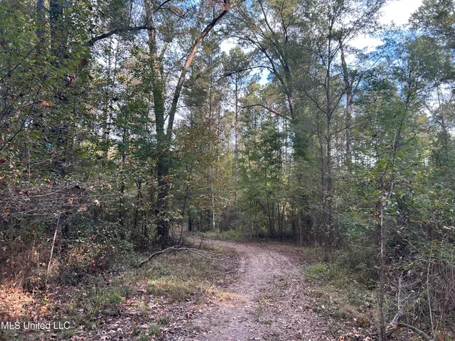 $349,900 | 2225 County Road, Kosciusko, MS 39090