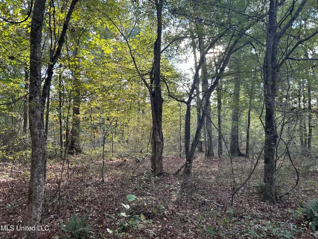 $349,900 | 2225 County Road, Kosciusko, MS 39090