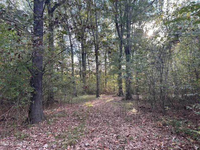 $349,900 | 2225 County Road, Kosciusko, MS 39090