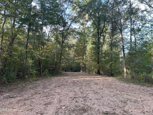 $349,900 | 2225 County Road, Kosciusko, MS 39090