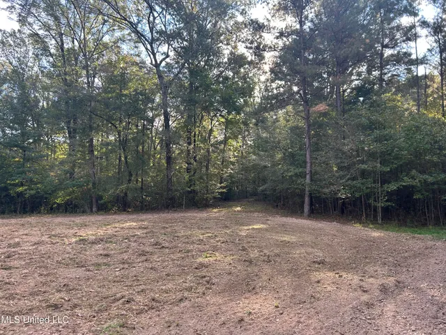 $349,900 | 2225 County Road, Kosciusko, MS 39090