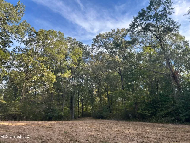 $349,900 | 2225 County Road, Kosciusko, MS 39090