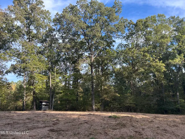 $349,900 | 2225 County Road, Kosciusko, MS 39090