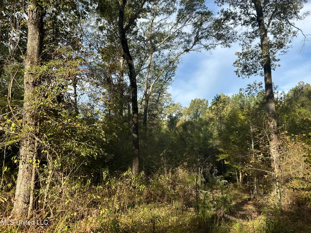 $349,900 | 2225 County Road, Kosciusko, MS 39090