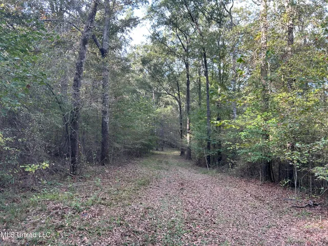 $349,900 | 2225 County Road, Kosciusko, MS 39090