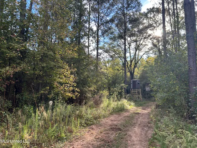$349,900 | 2225 County Road, Kosciusko, MS 39090