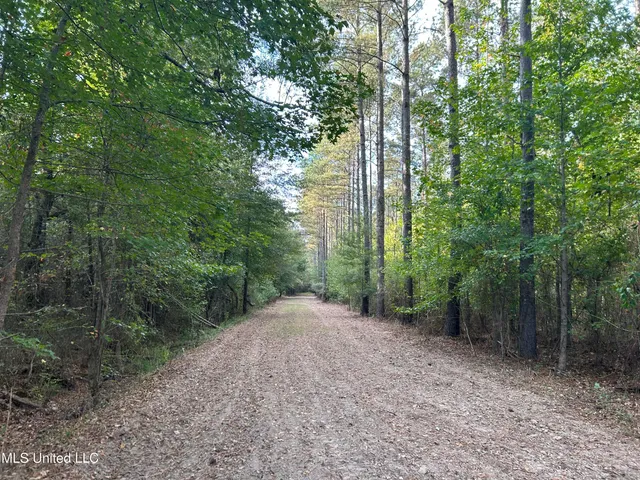 $349,900 | 2225 County Road, Kosciusko, MS 39090