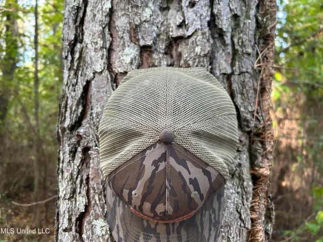 $349,900 | 2225 County Road, Kosciusko, MS 39090