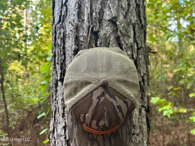 $349,900 | 2225 County Road, Kosciusko, MS 39090