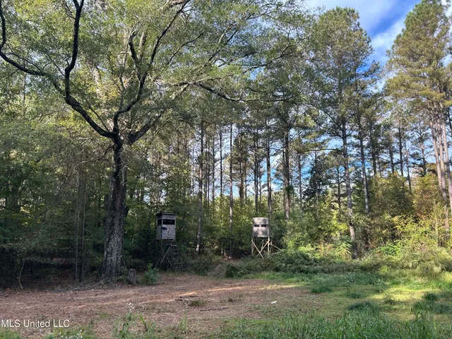 $349,900 | 2225 County Road, Kosciusko, MS 39090