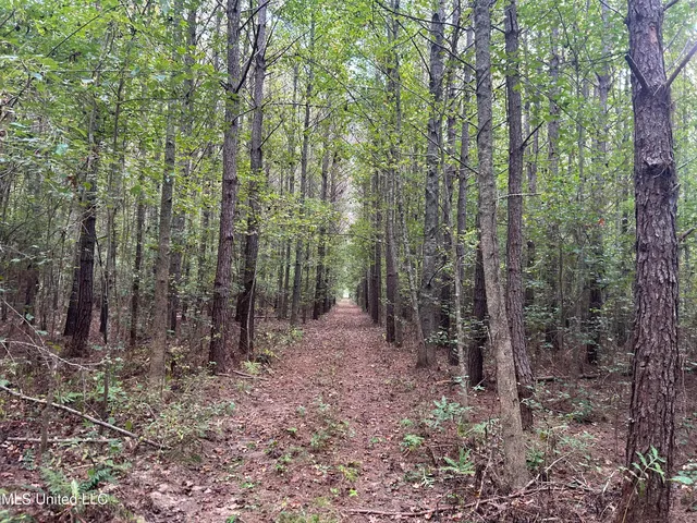 $349,900 | 2225 County Road, Kosciusko, MS 39090