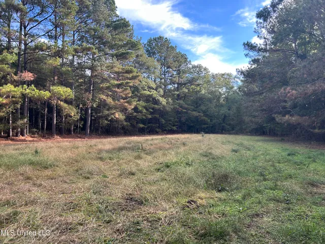 $349,900 | 2225 County Road, Kosciusko, MS 39090