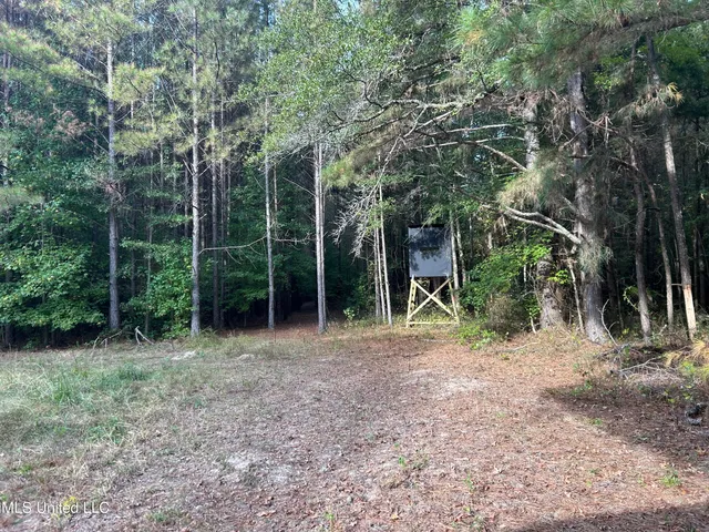 $349,900 | 2225 County Road, Kosciusko, MS 39090