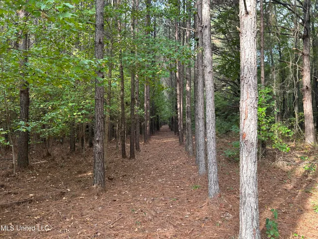 $349,900 | 2225 County Road, Kosciusko, MS 39090