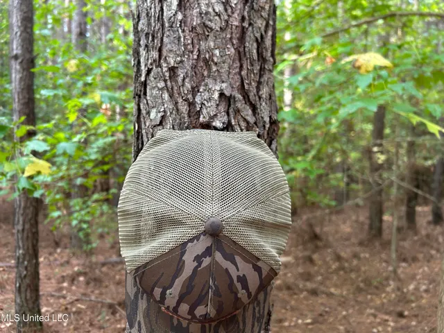 $349,900 | 2225 County Road, Kosciusko, MS 39090