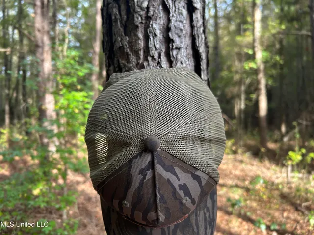 $349,900 | 2225 County Road, Kosciusko, MS 39090