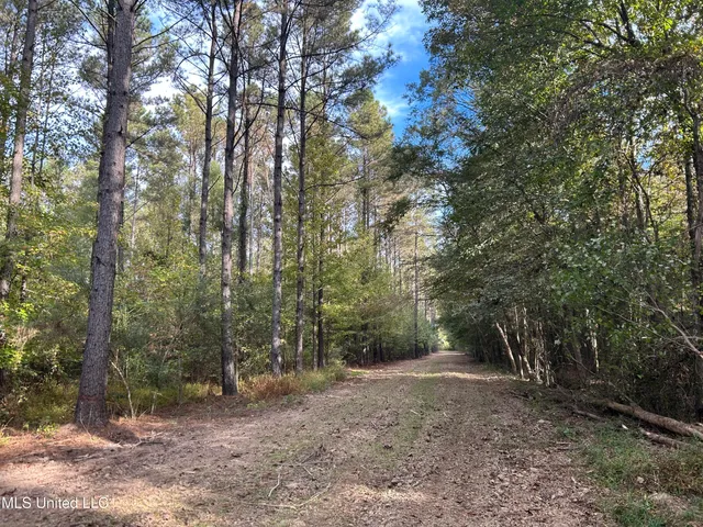 $349,900 | 2225 County Road, Kosciusko, MS 39090