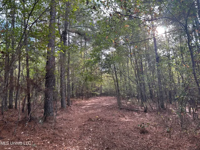 $349,900 | 2225 County Road, Kosciusko, MS 39090