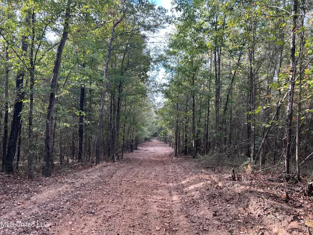 $349,900 | 2225 County Road, Kosciusko, MS 39090