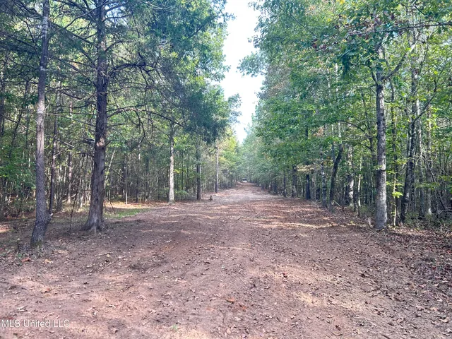 $349,900 | 2225 County Road, Kosciusko, MS 39090