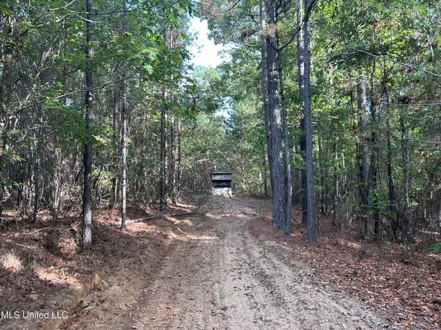 $349,900 | 2225 County Road, Kosciusko, MS 39090