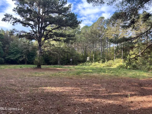 $349,900 | 2225 County Road, Kosciusko, MS 39090